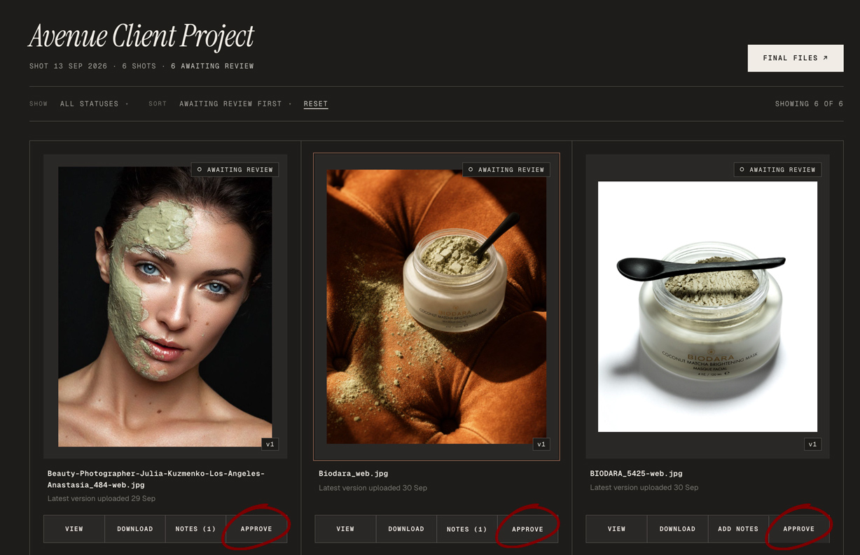 Approve from the Project view page.