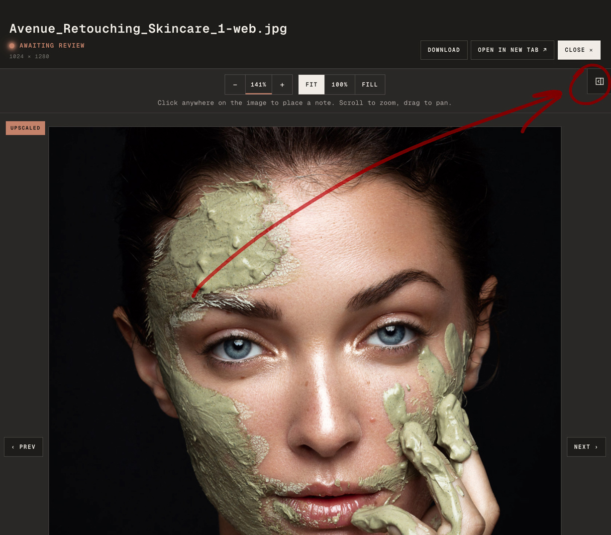 Open the Revision Notes sidebar with the folded tab in the upper-right corner of the image.